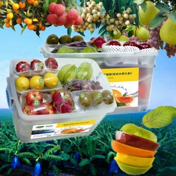 [生态水果] 众果水果礼盒6000g