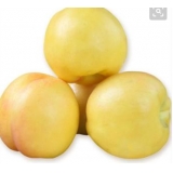 【隆王府】大连黄油桃3.5kg